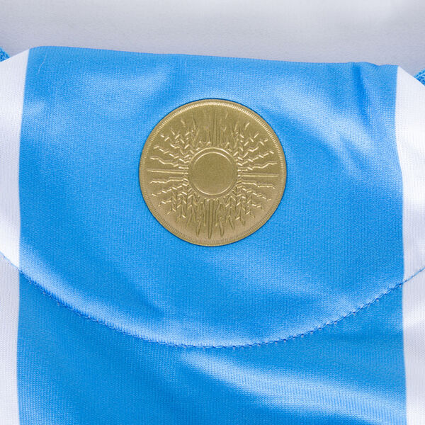 Buy Argentina Home 2024 Copa America player version meesi jersey image 1